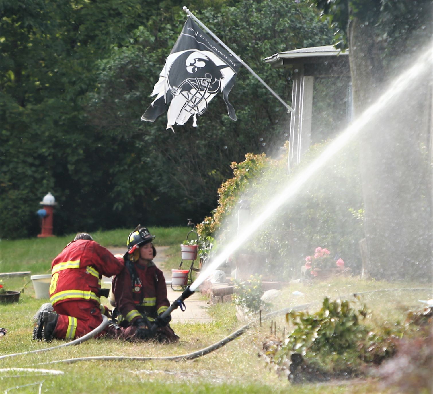 Buffalo fire 3